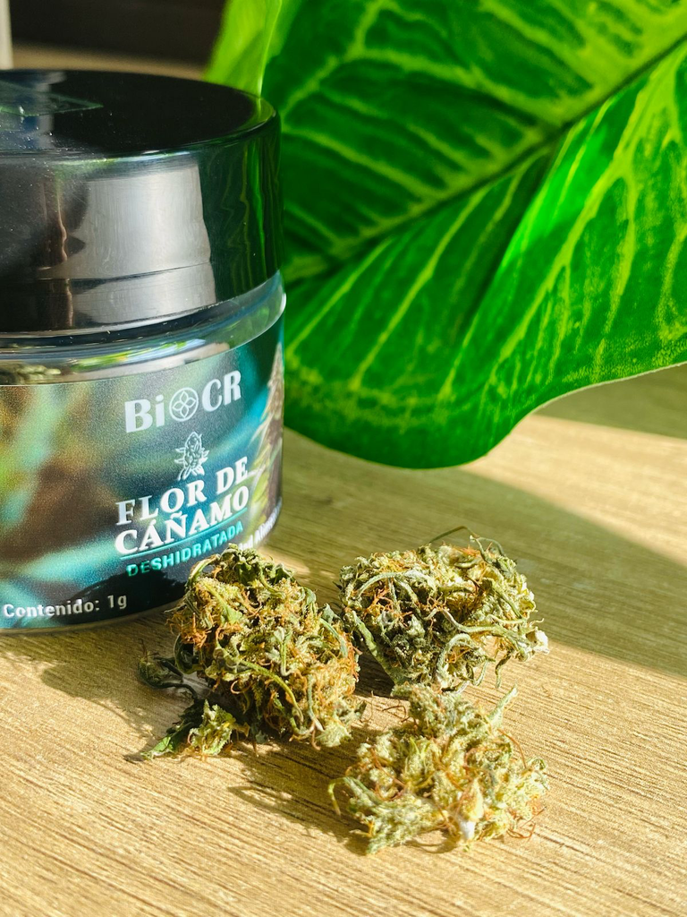 Biocr - Flower Mountain Mango  CBD - 1g 