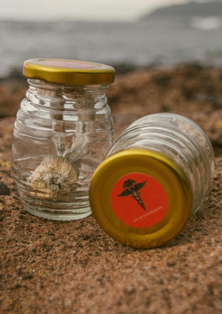 Mushroom - 3.5 gr 