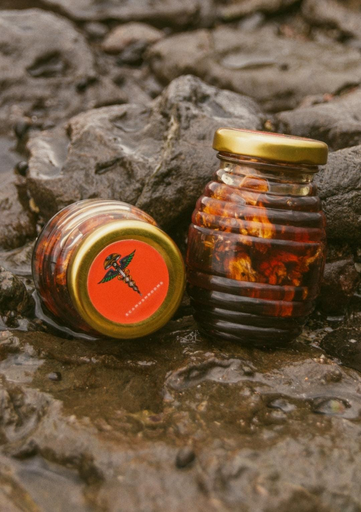 Mushroom - Chocolate