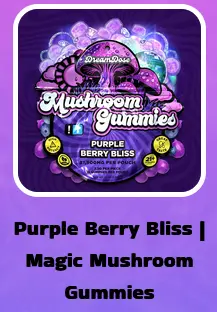 [00257] Extrax - Purple Bliss - Mushroom Gummies